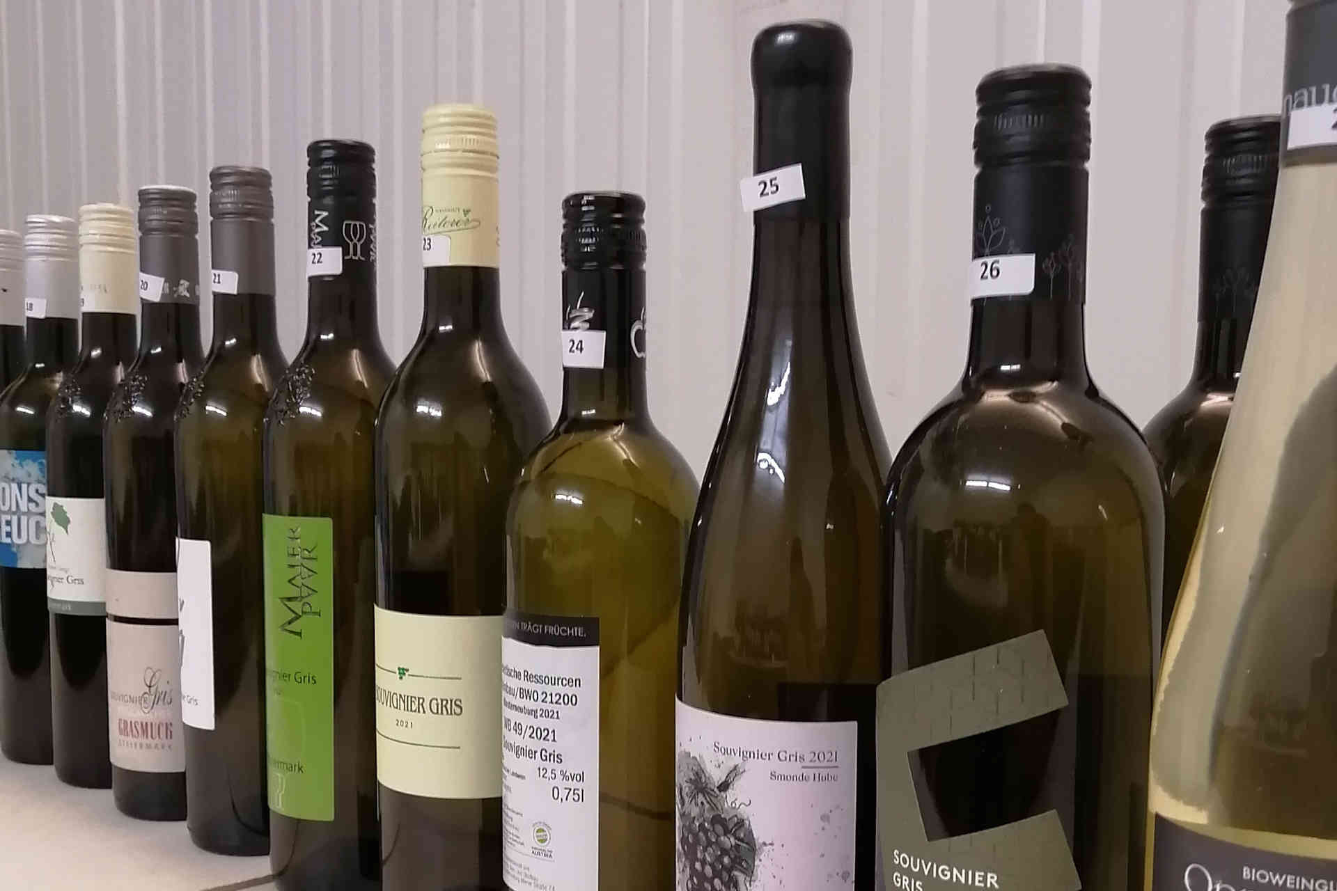 Für die Jury-Verkostung waren 209 Weine von 92 verschiedenen Betrieben angemeldet. © Wolfgang Renner