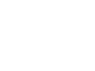 Bernd Demmerer Logo