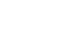 Messner Wurst Logo